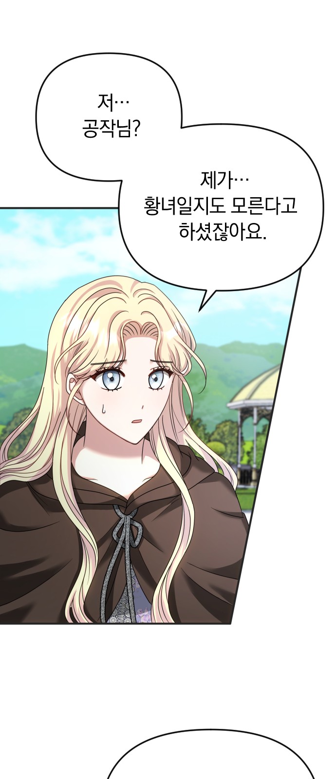 102 페이지