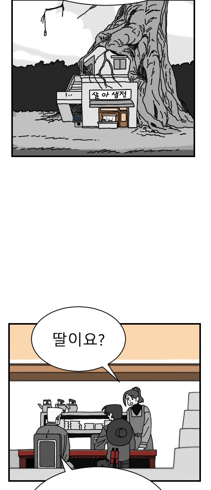 46 페이지