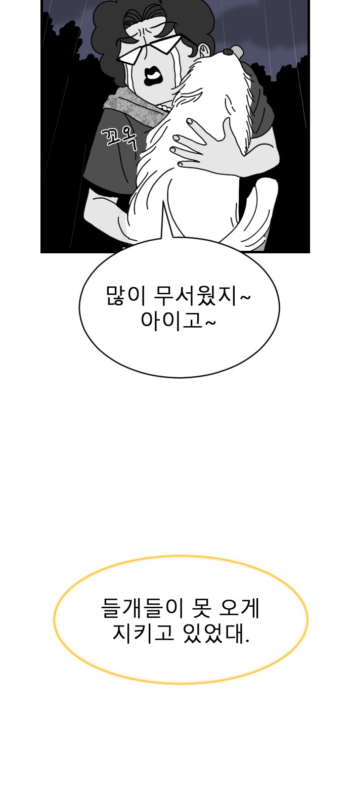 43 페이지