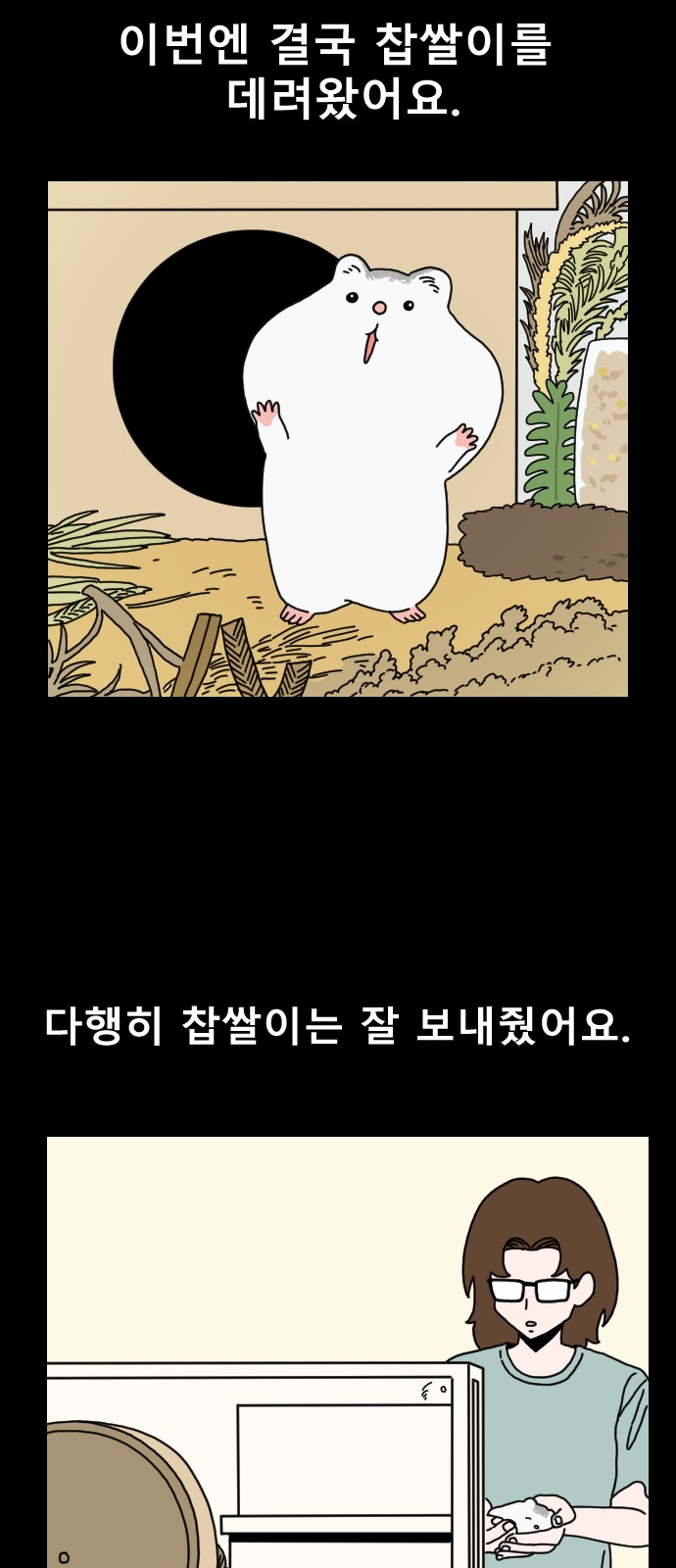 29 페이지