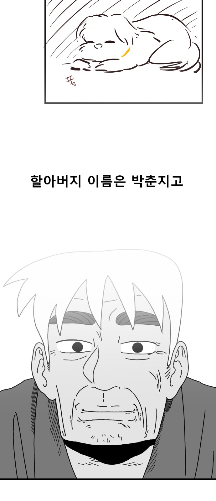46 페이지