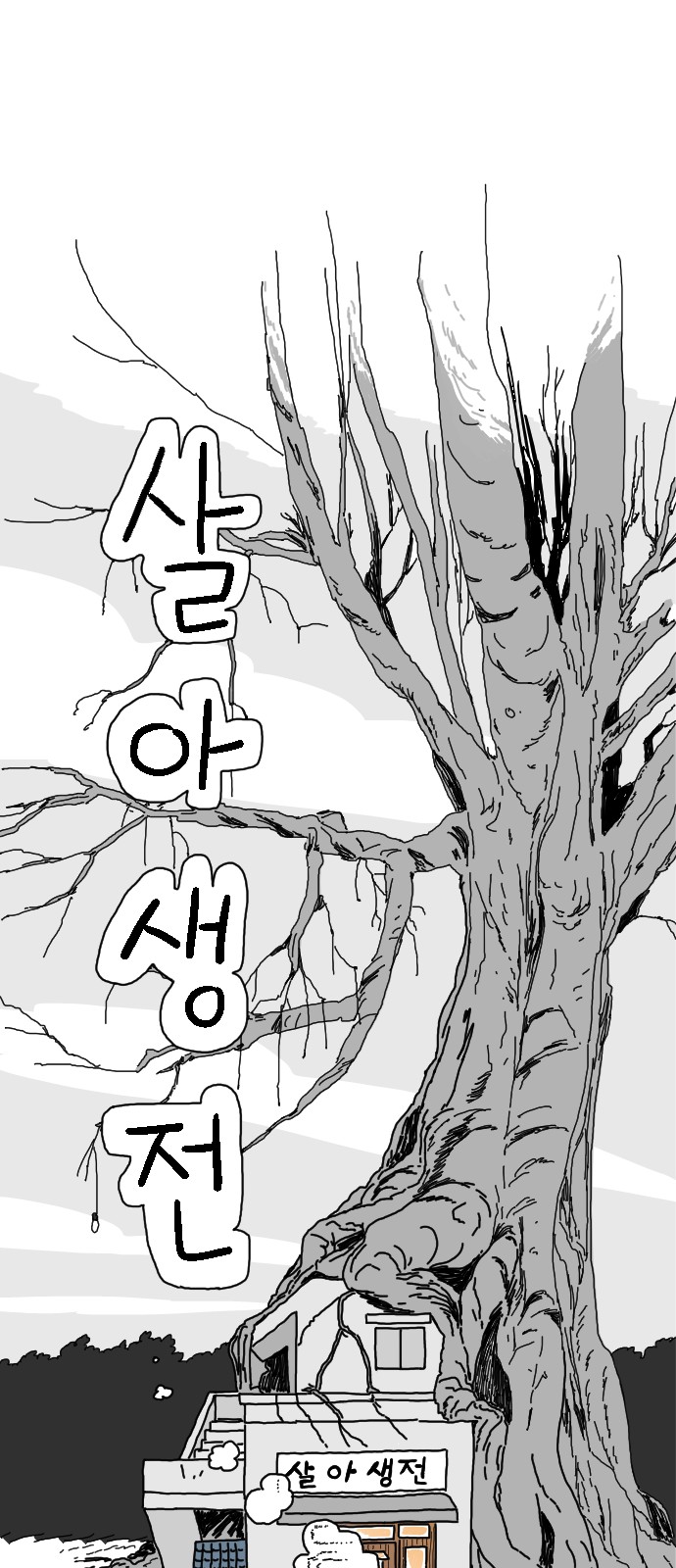 75 페이지