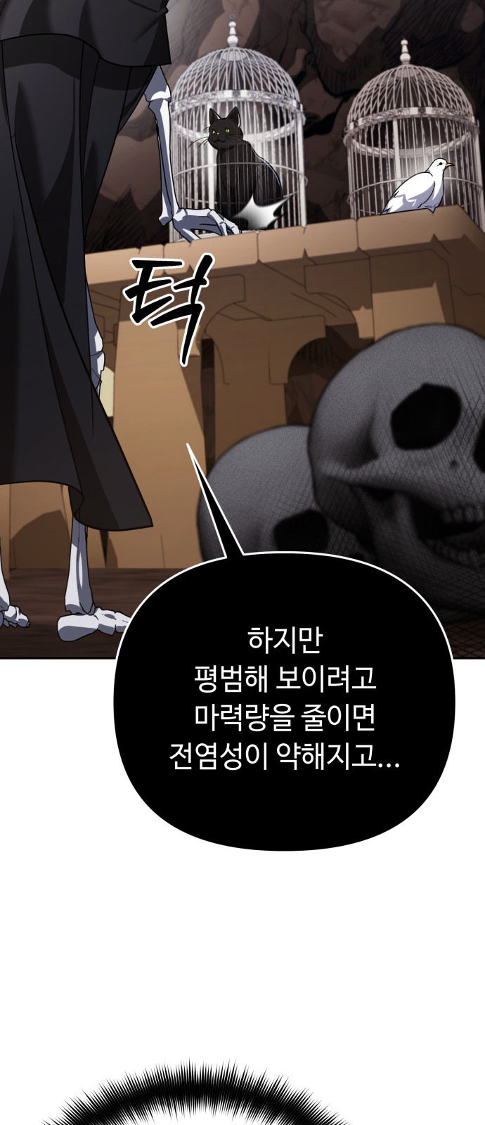 17 페이지