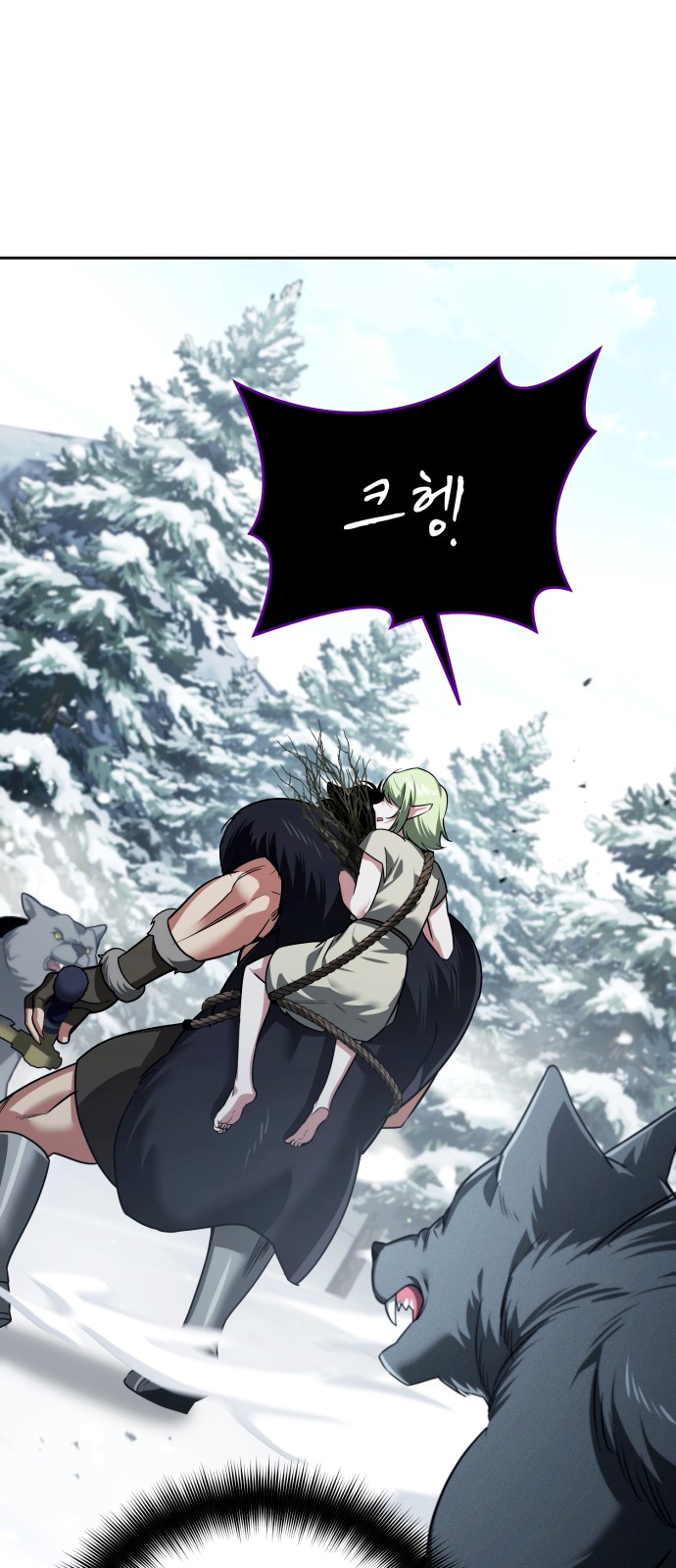66 페이지