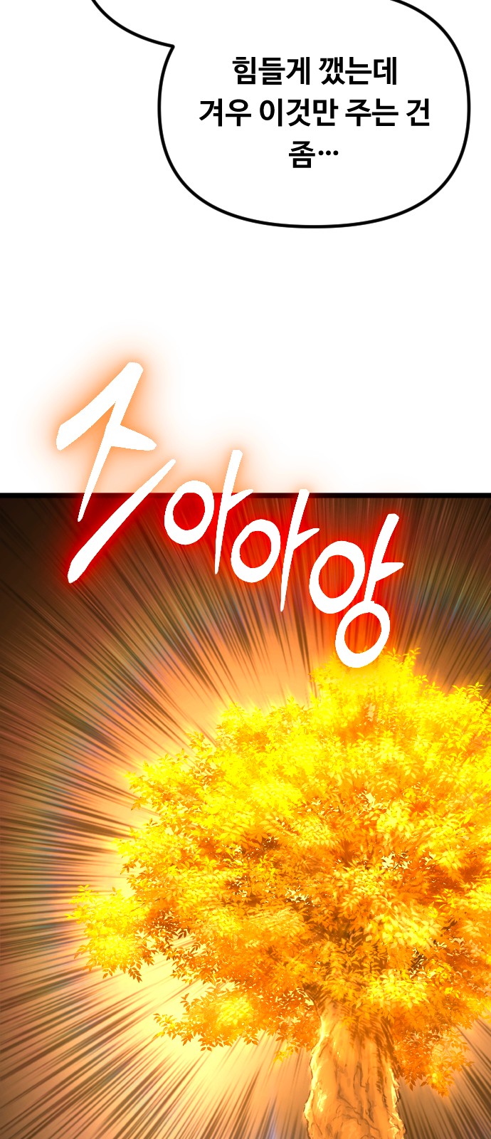 113 페이지