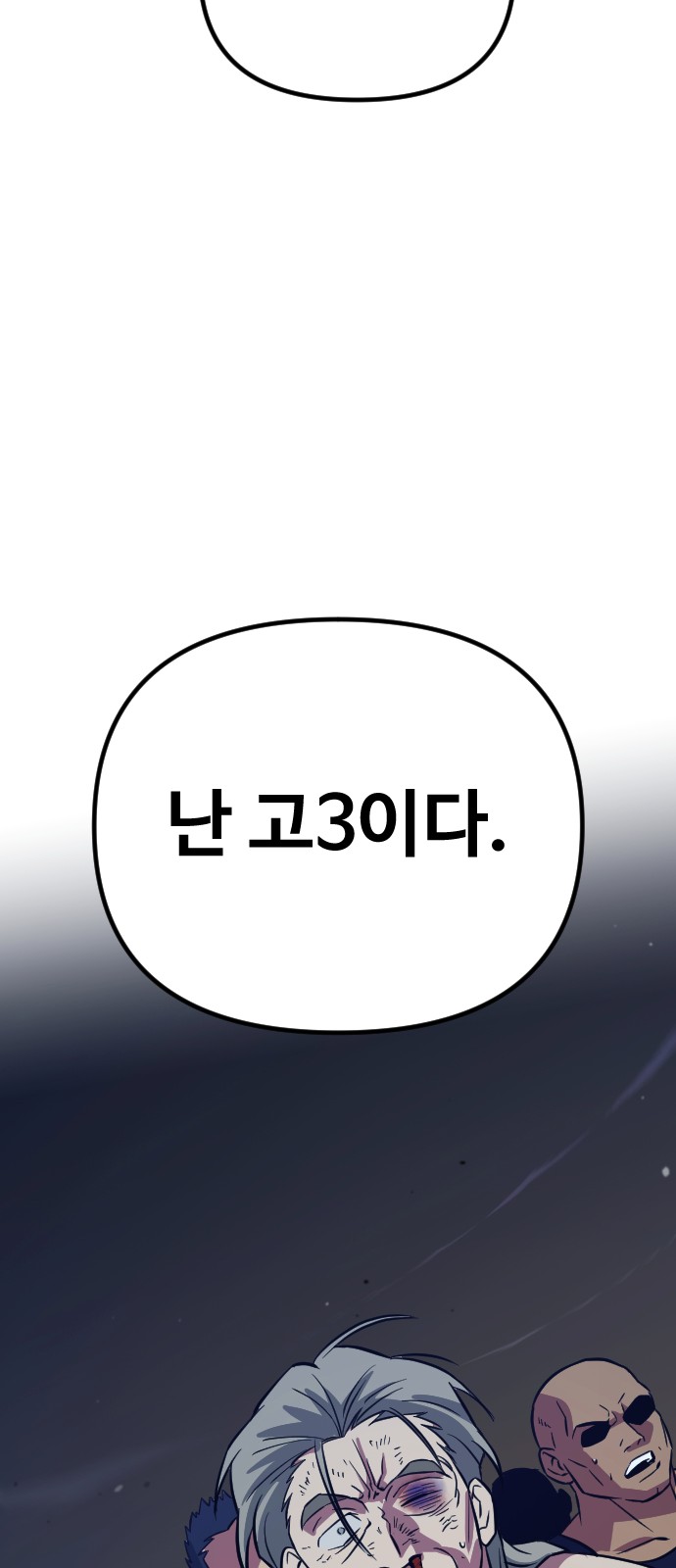 113 페이지
