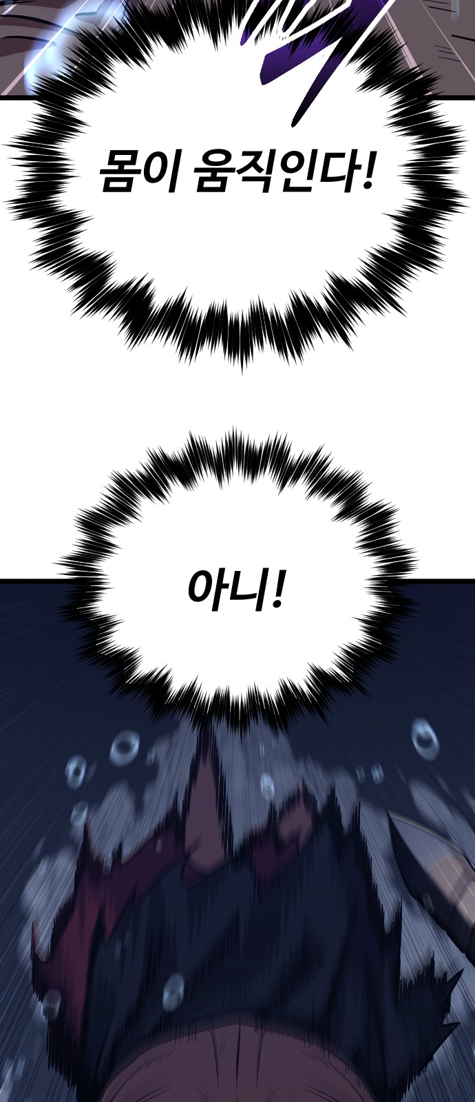 110 페이지