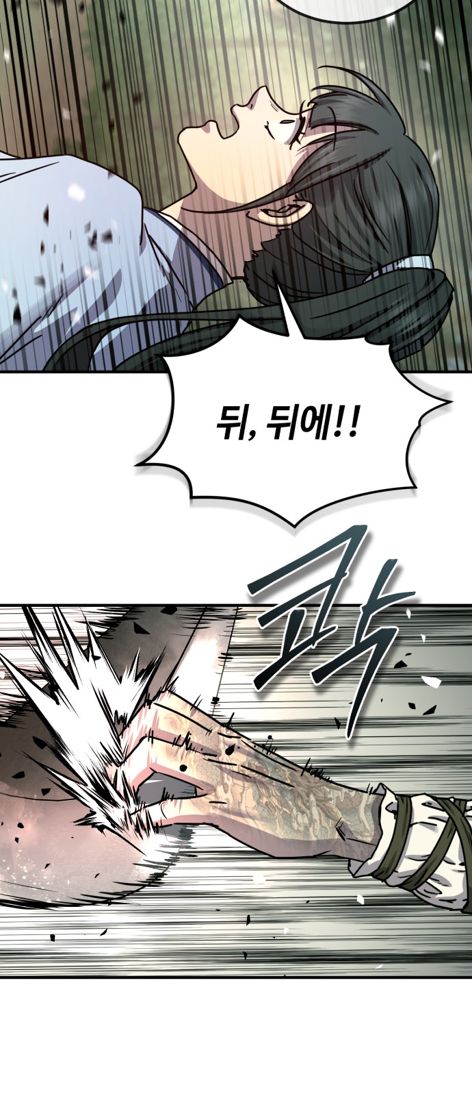 66 페이지