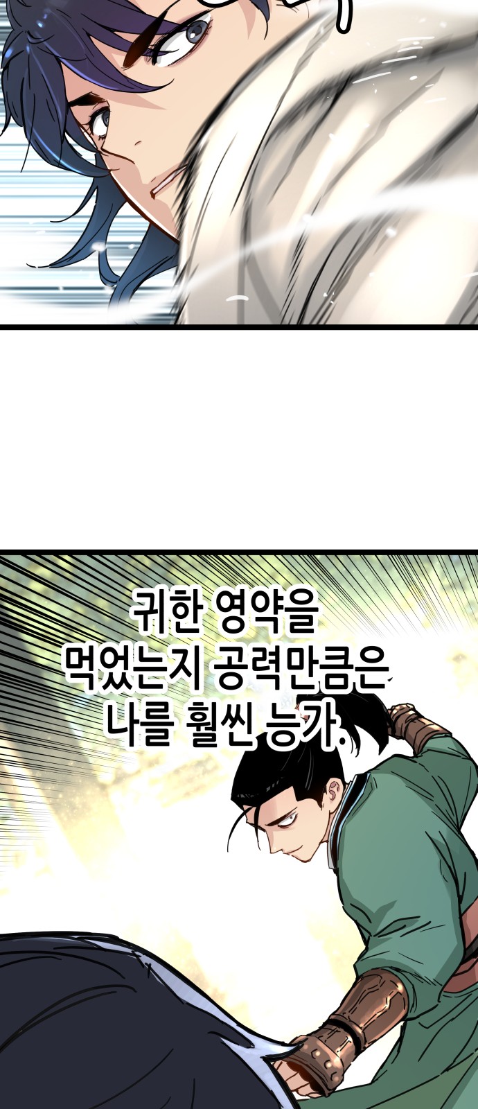 66 페이지