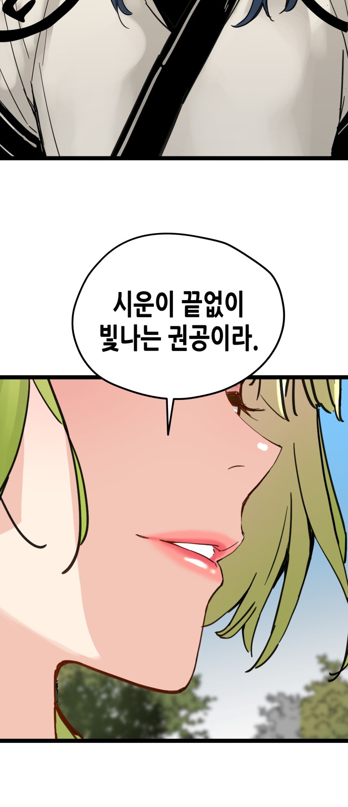 66 페이지