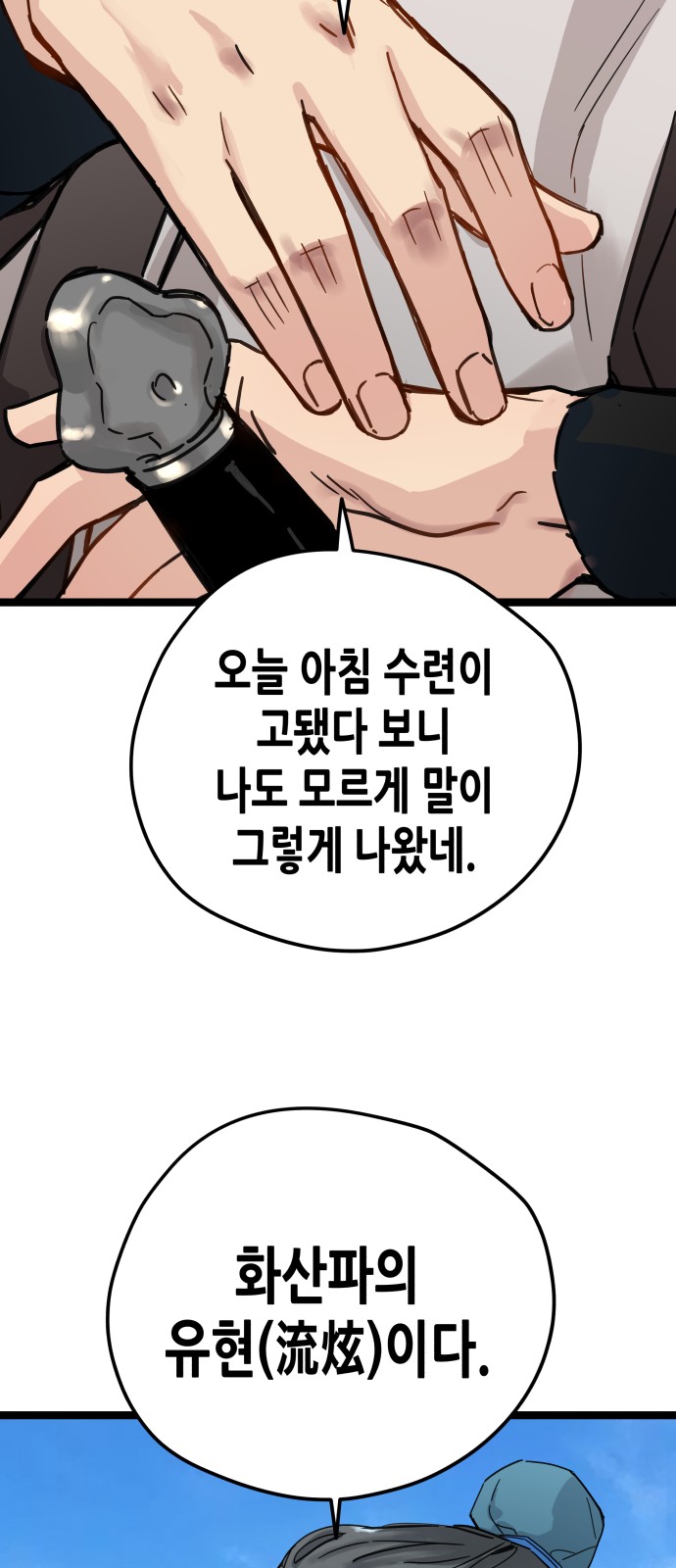 66 페이지
