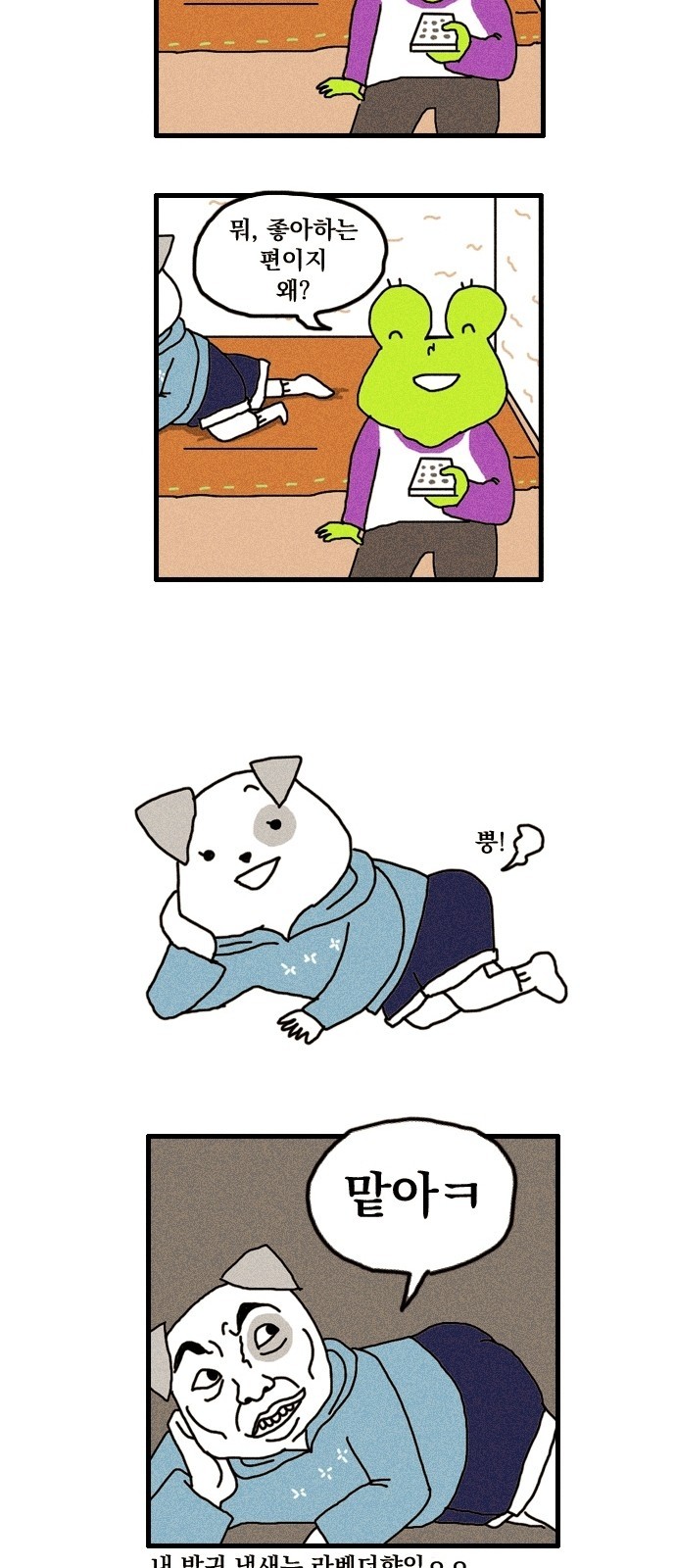 14 페이지
