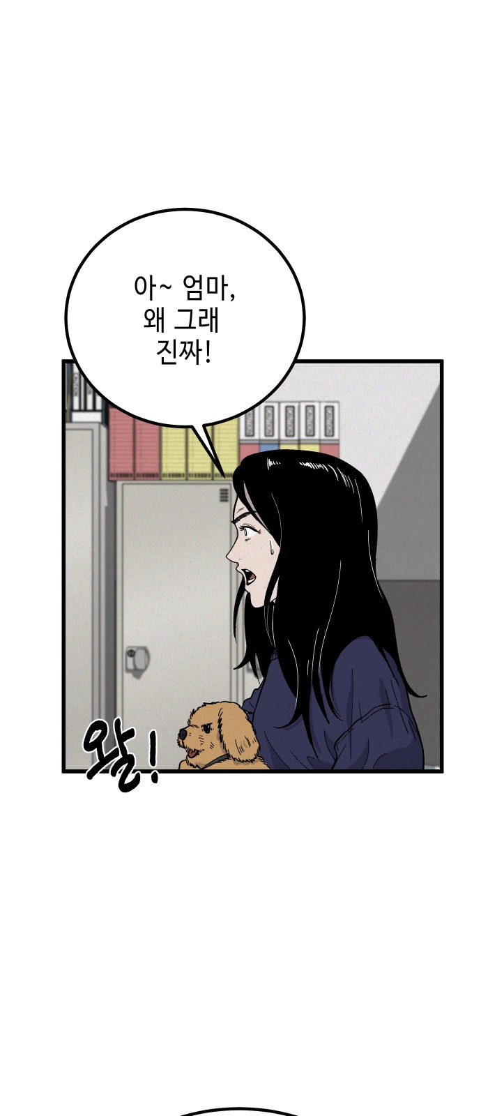 11 페이지