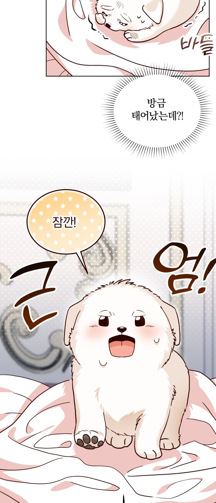 50 페이지