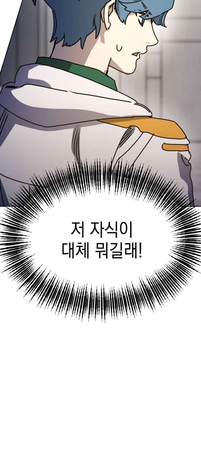 66 페이지