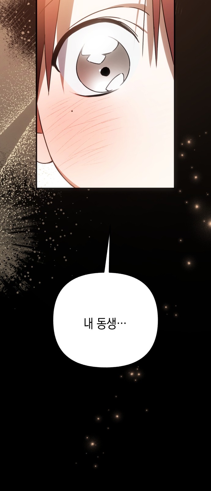 110 페이지