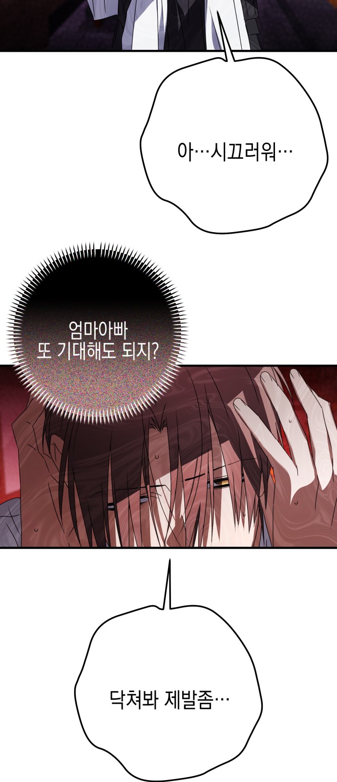 66 페이지