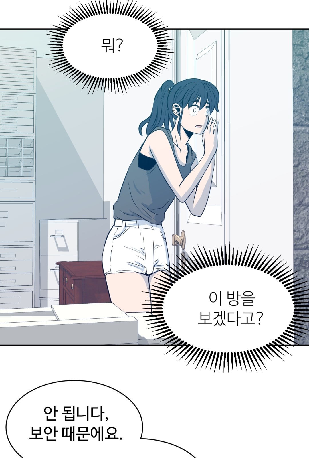 66 페이지