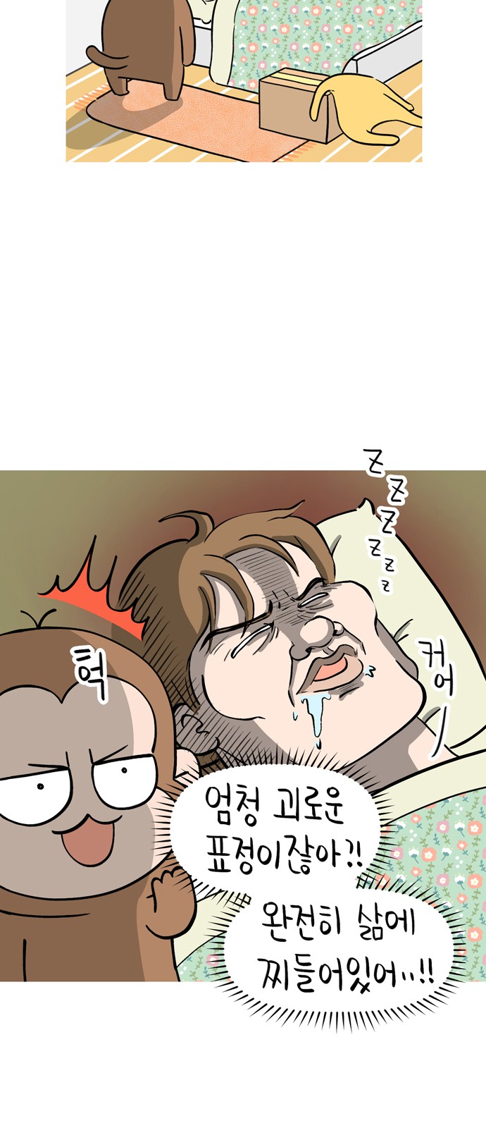 6 페이지
