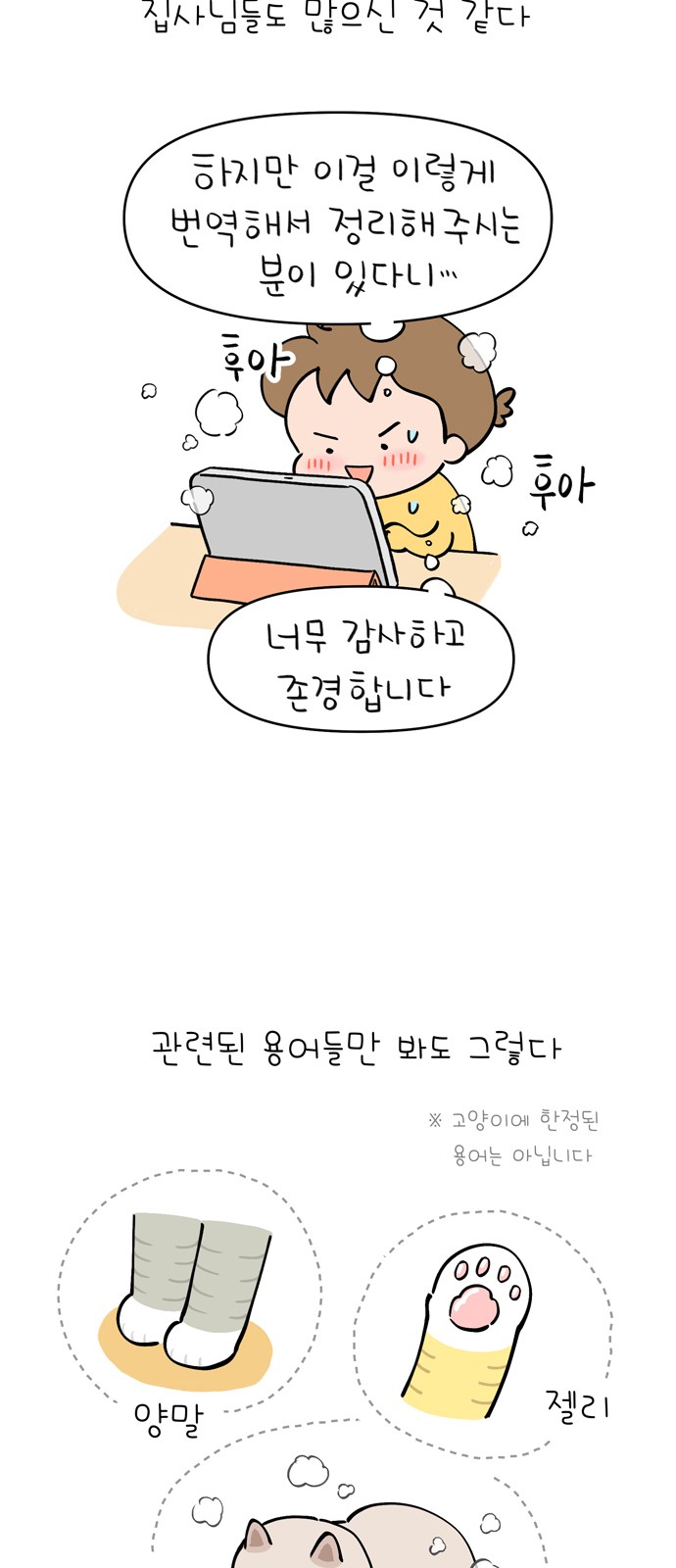 5 페이지