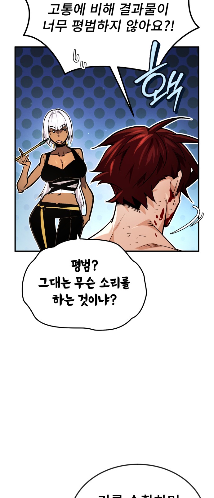 60 페이지