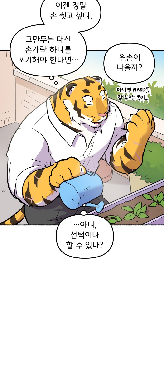 17 페이지