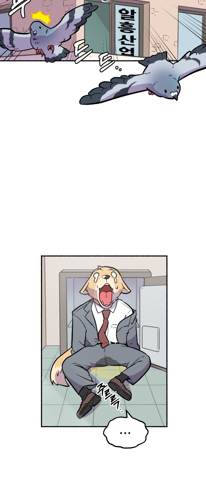 8 페이지