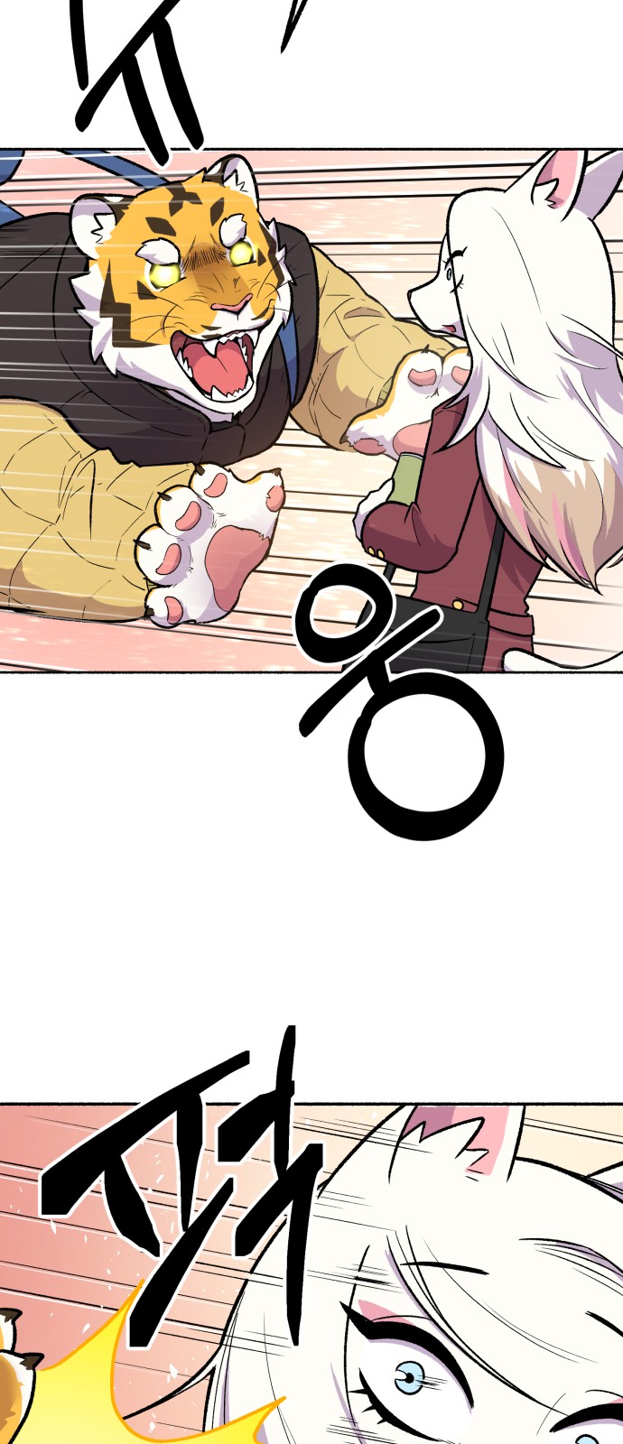 37 페이지