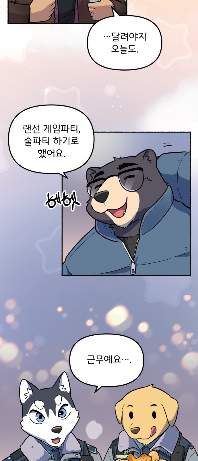 45 페이지