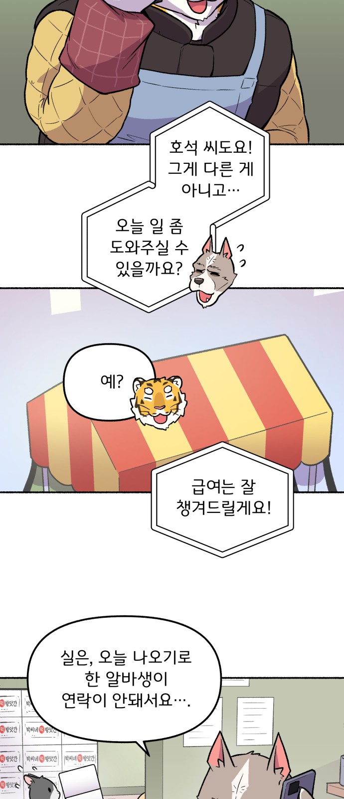 19 페이지