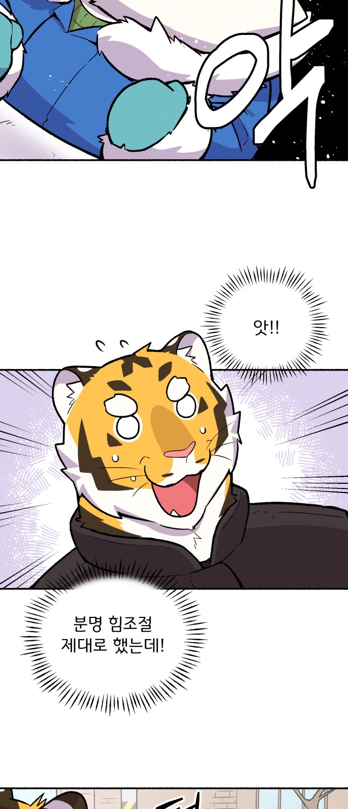 51 페이지
