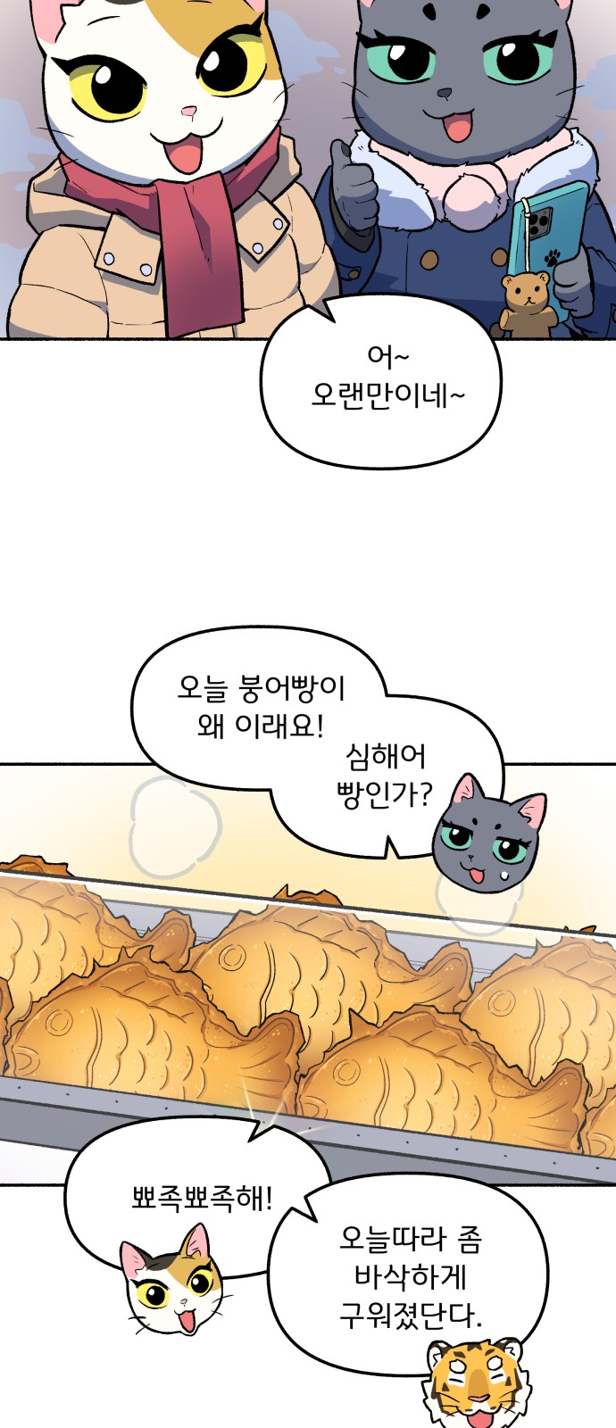 17 페이지