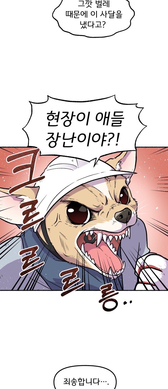 33 페이지