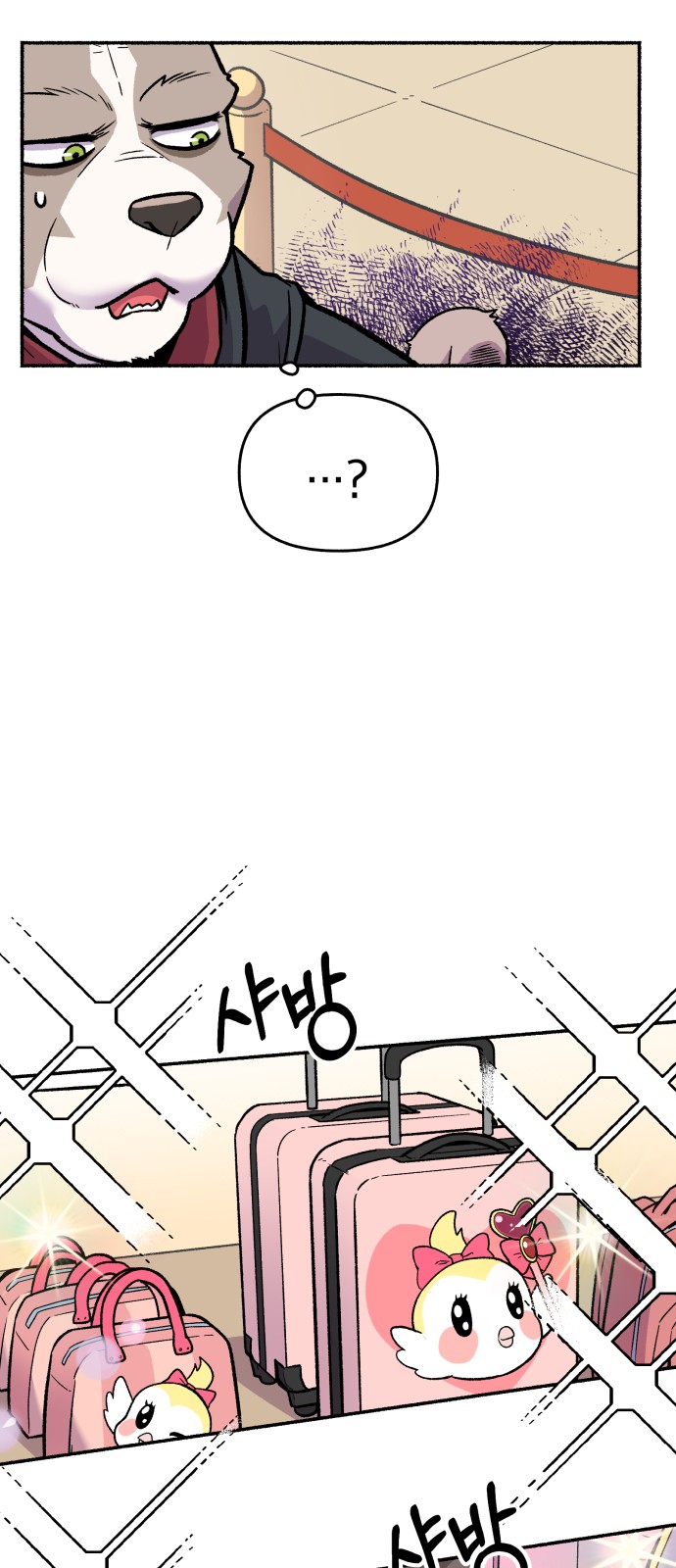 16 페이지