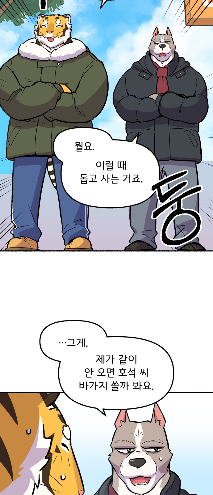 43 페이지