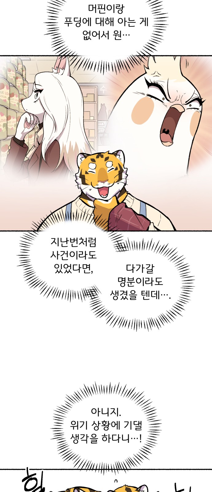 15 페이지