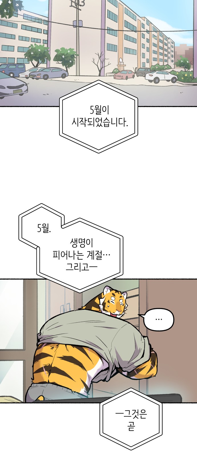 43 페이지