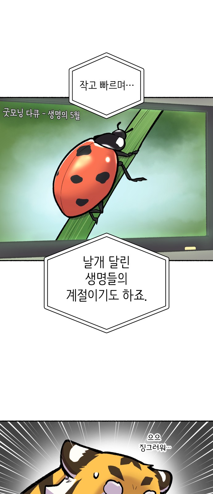 44 페이지