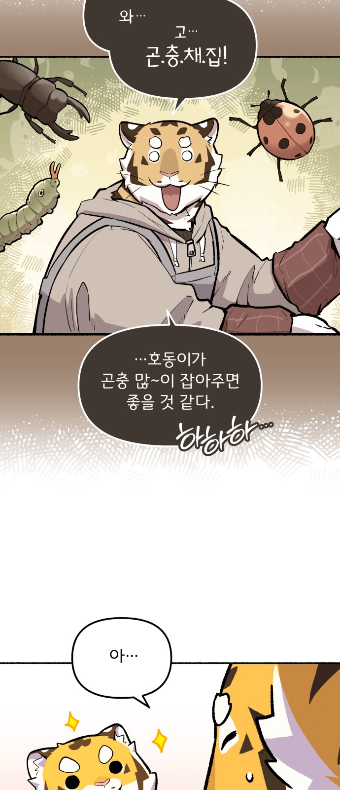 45 페이지