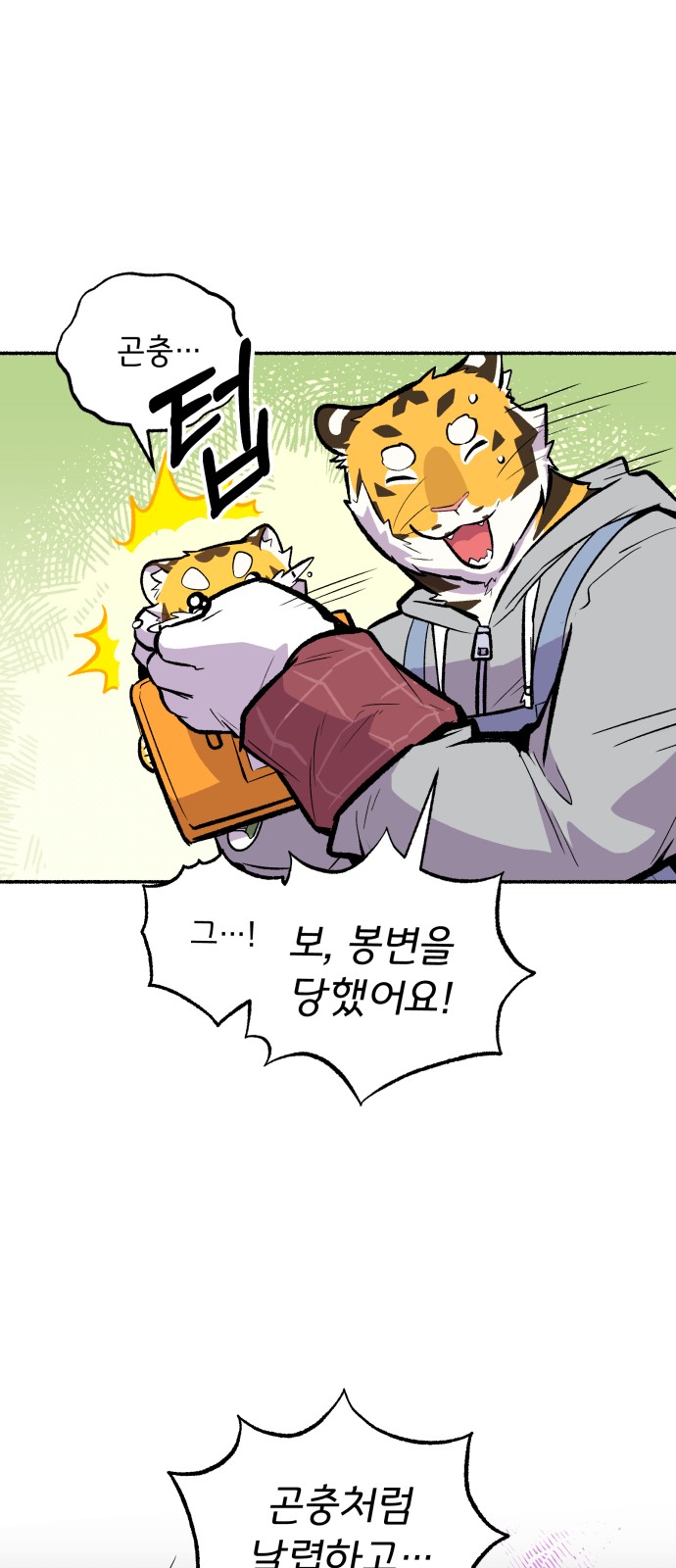 15 페이지