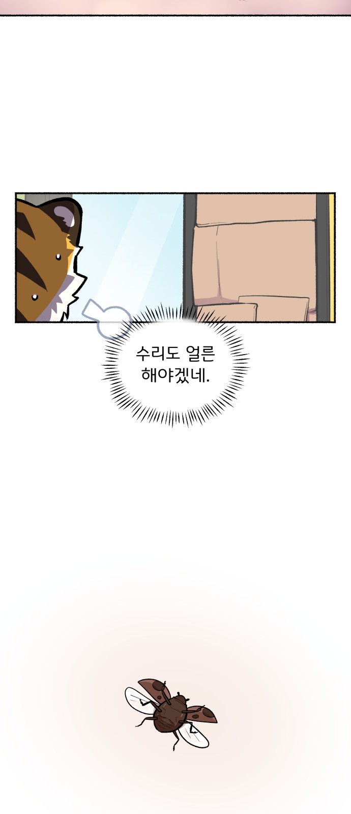 27 페이지