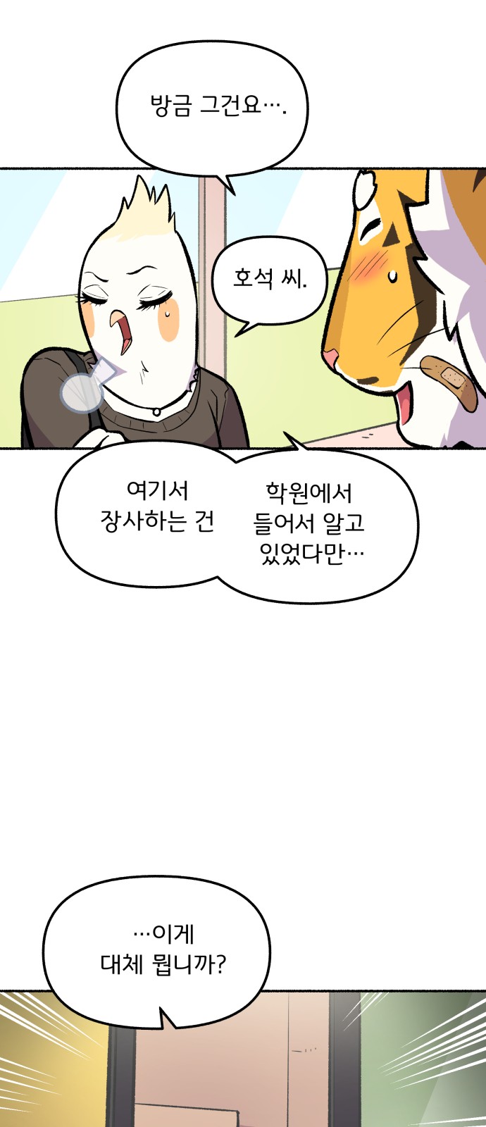 33 페이지