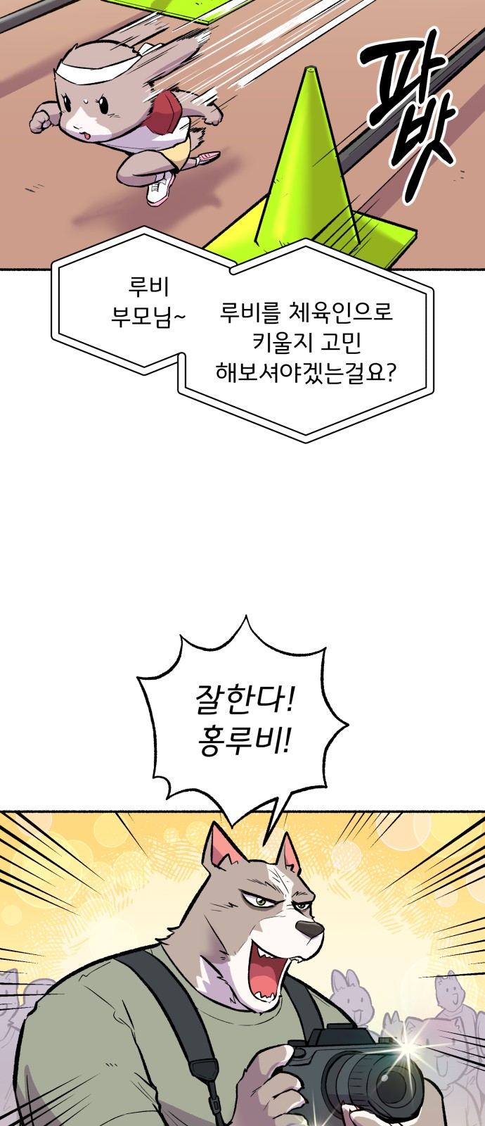 33 페이지
