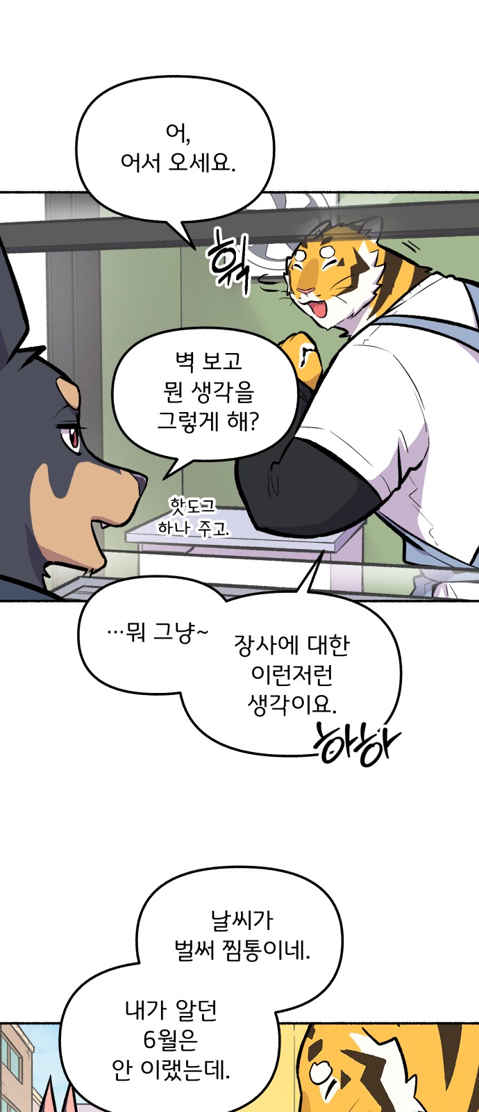 13 페이지