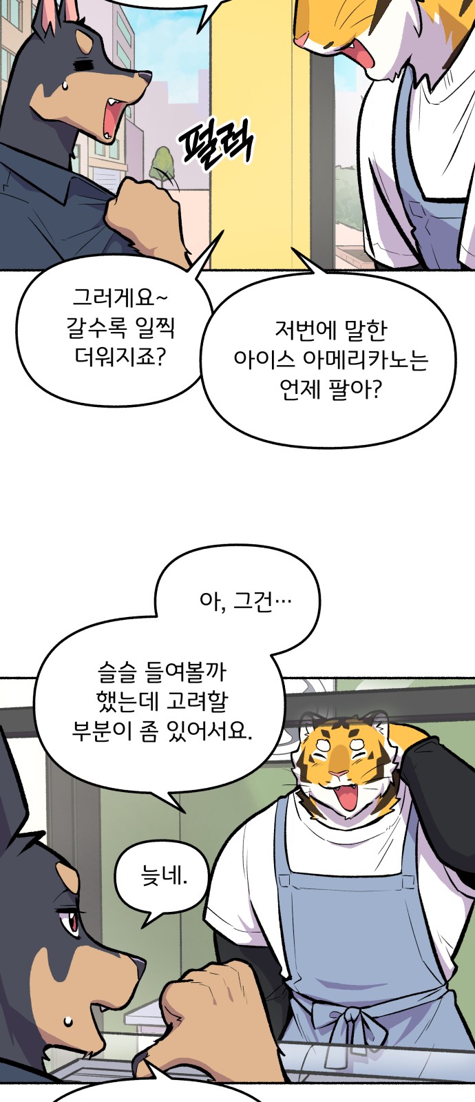 14 페이지