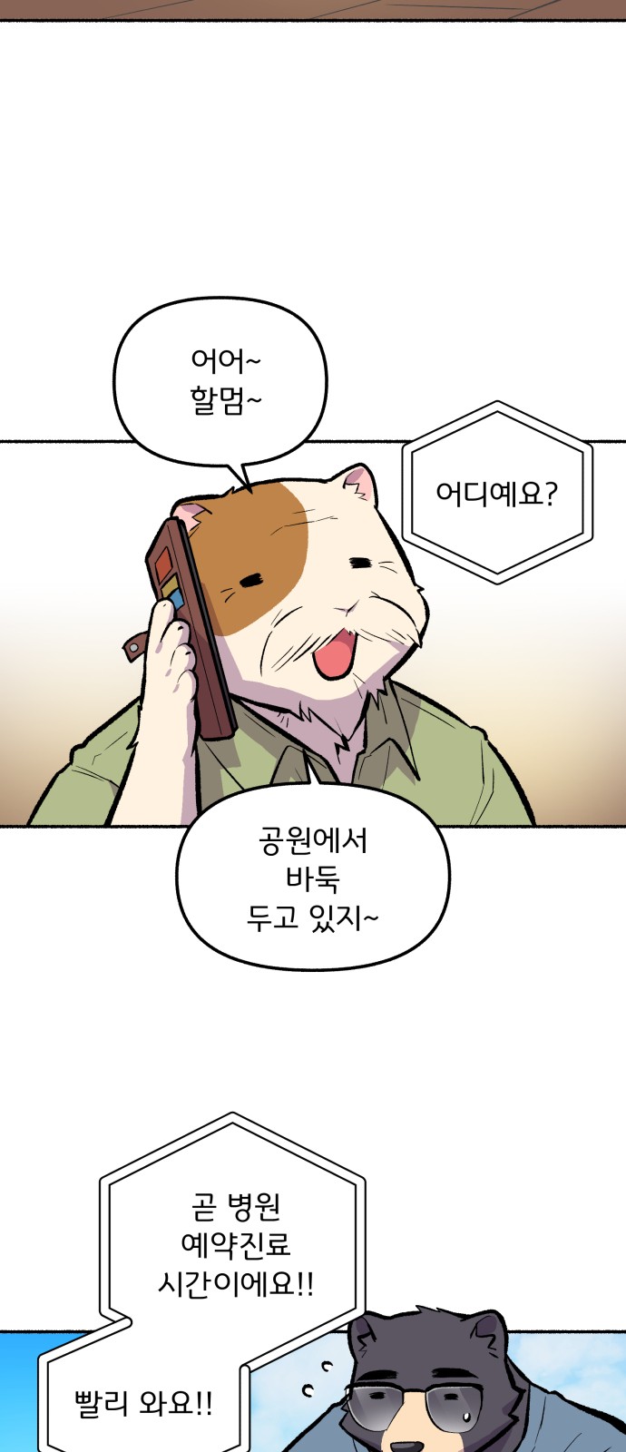 38 페이지