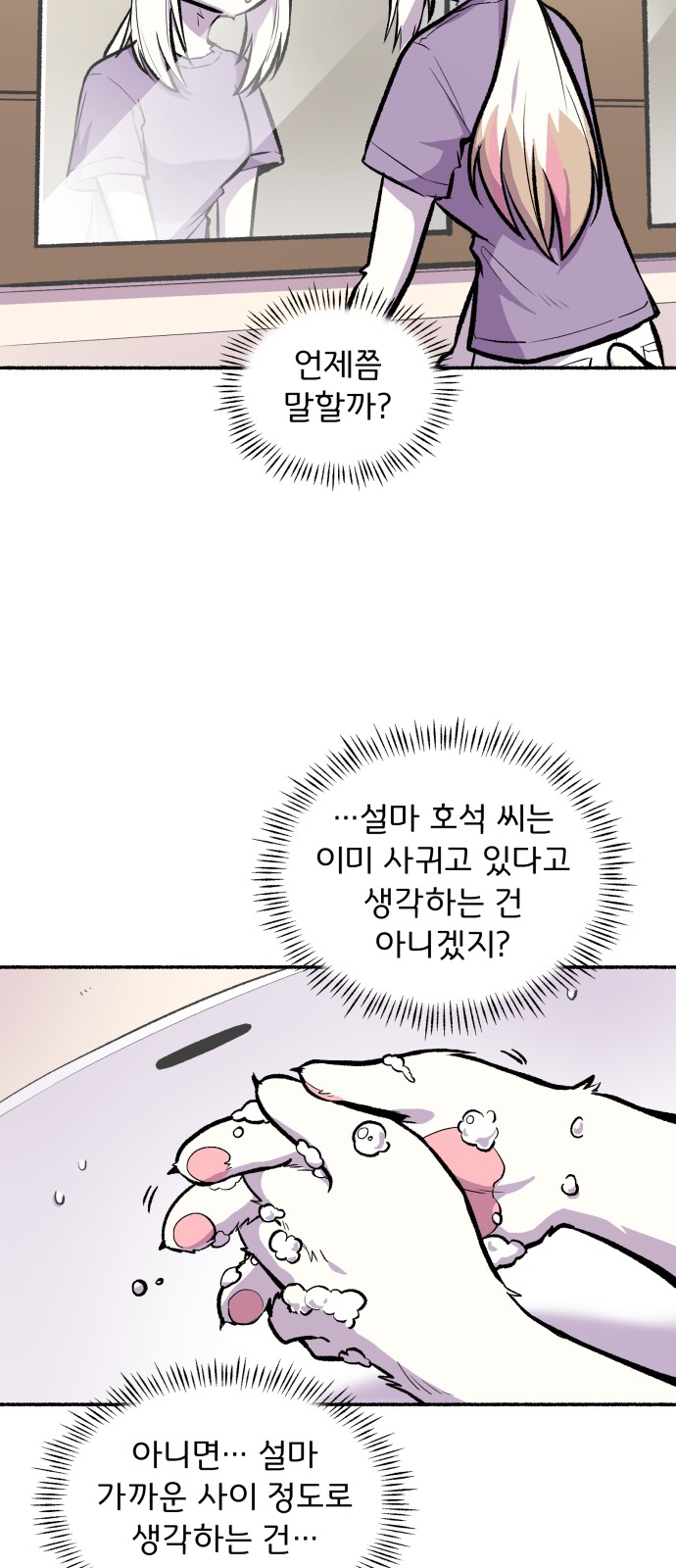 41 페이지