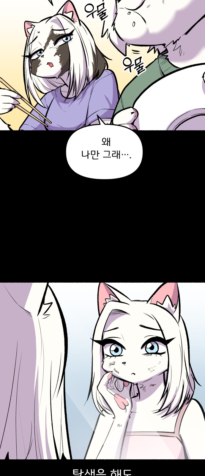 11 페이지