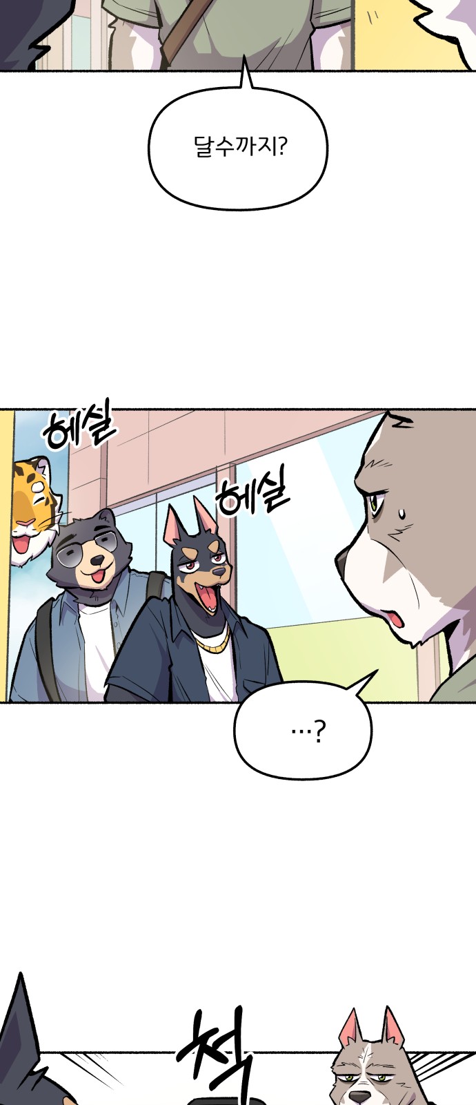 11 페이지