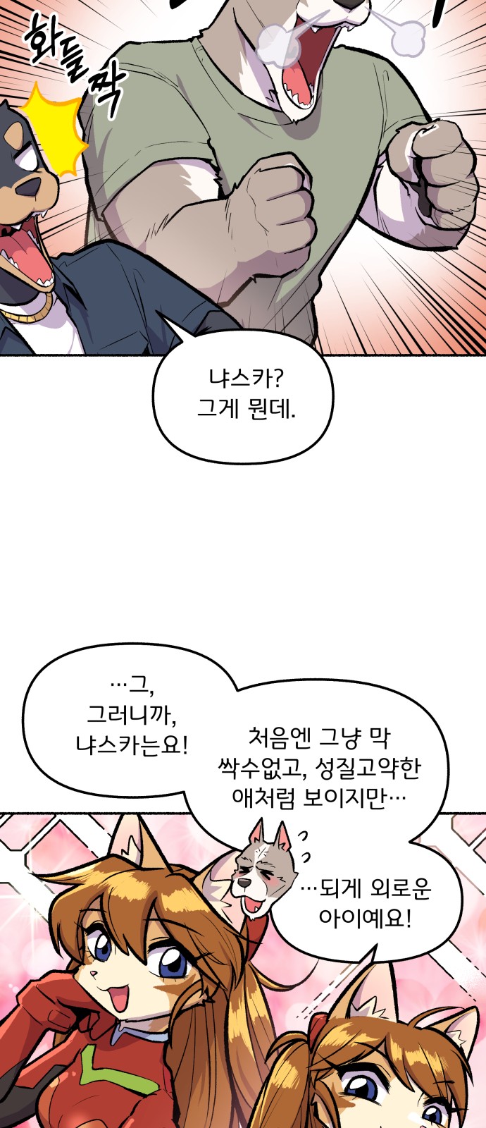 19 페이지